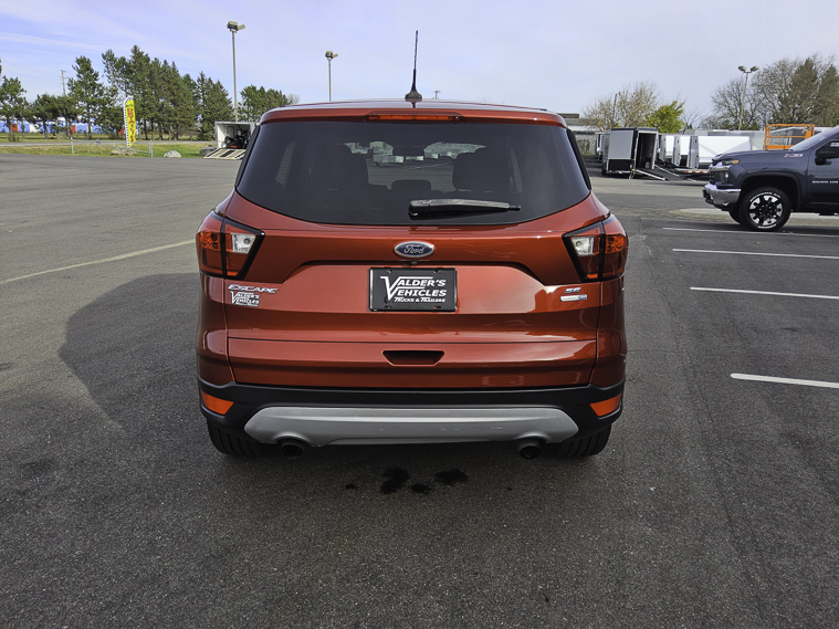 2019 Ford ESCAPE SUV